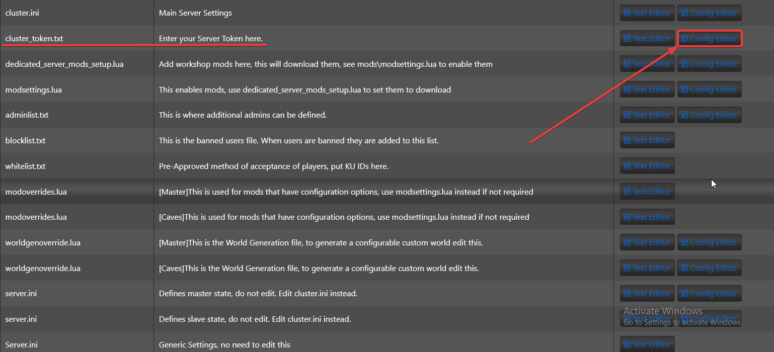 dont-starve-together-server-configuration-cluster_token.txt-file-config-editor.png